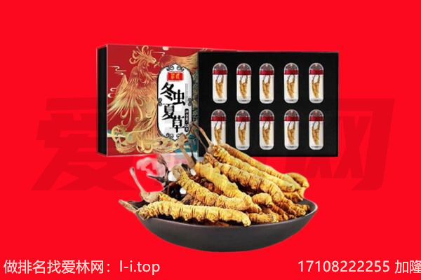 武汉回收虫草.jpg